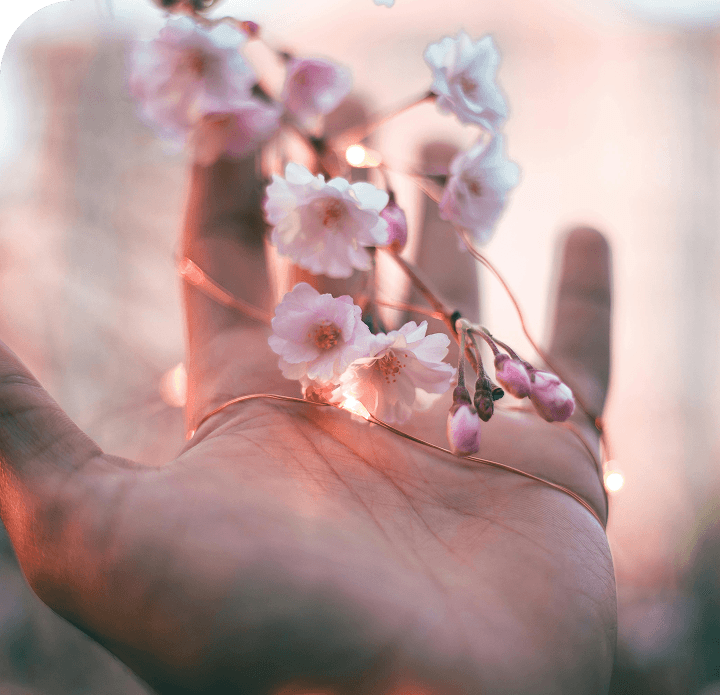 Peaceful Toolkits for Communities