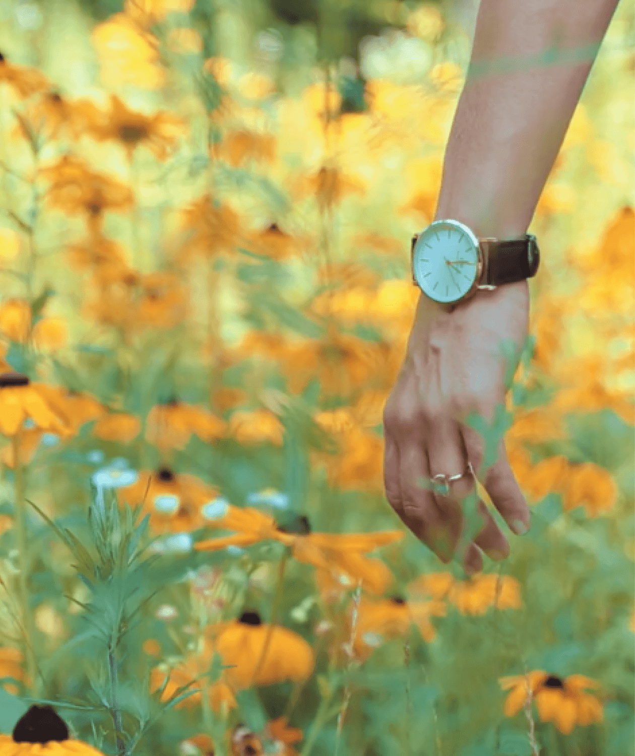 MacBook Air - 1 (2).png