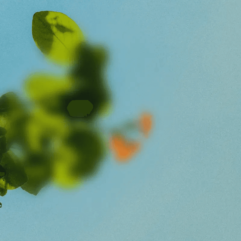 Peacefulness Resources